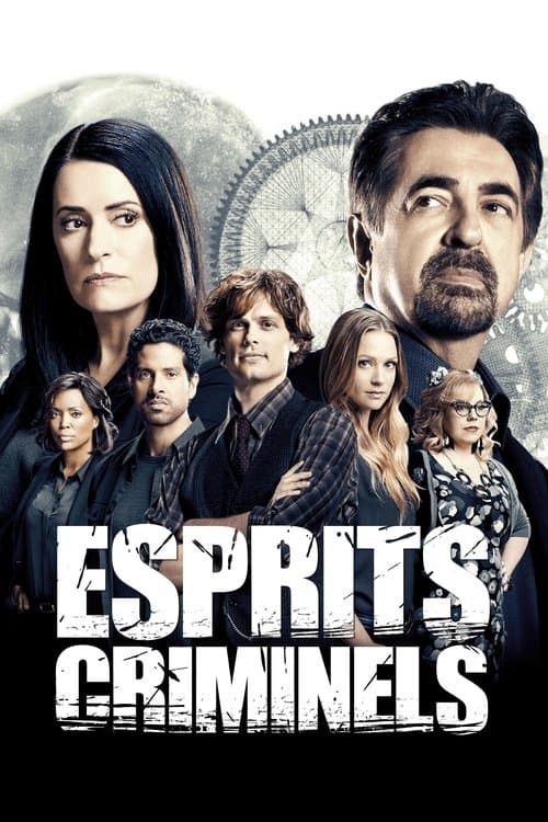 Affiche de la série Esprits criminels
